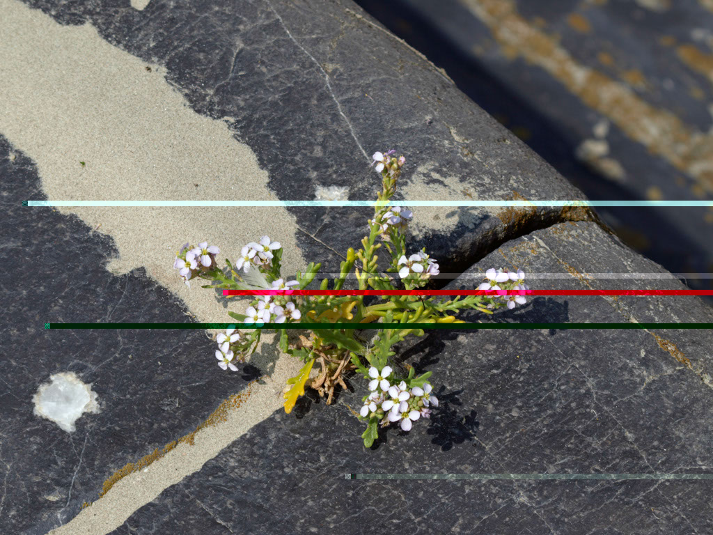 %_tempFileNameQuerbeet_37%