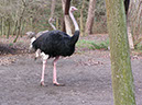 %_tempFileNameBild1053_%